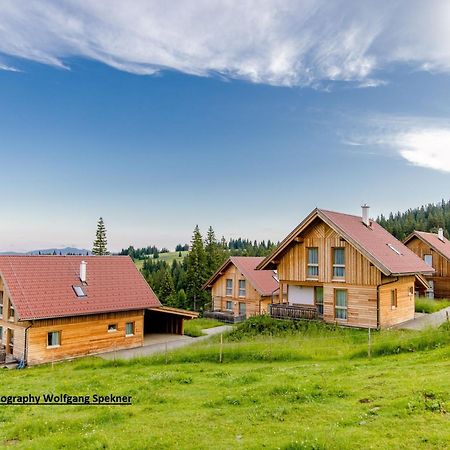 Beautiful Holiday Home in Weinebene with Sauna Posch Alpe Exterior foto