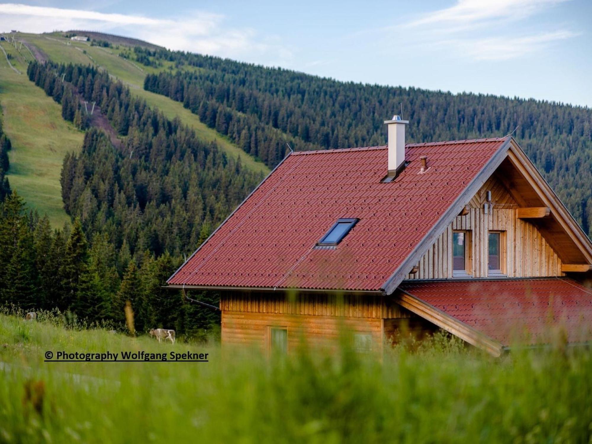 Beautiful Holiday Home in Weinebene with Sauna Posch Alpe Exterior foto