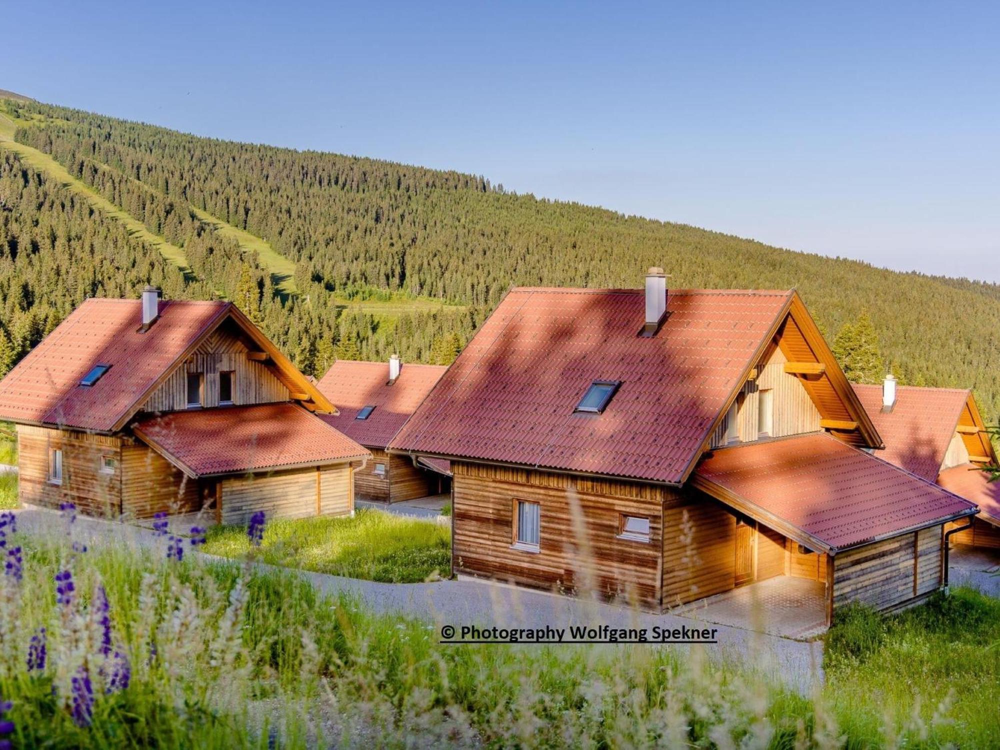 Beautiful Holiday Home in Weinebene with Sauna Posch Alpe Exterior foto
