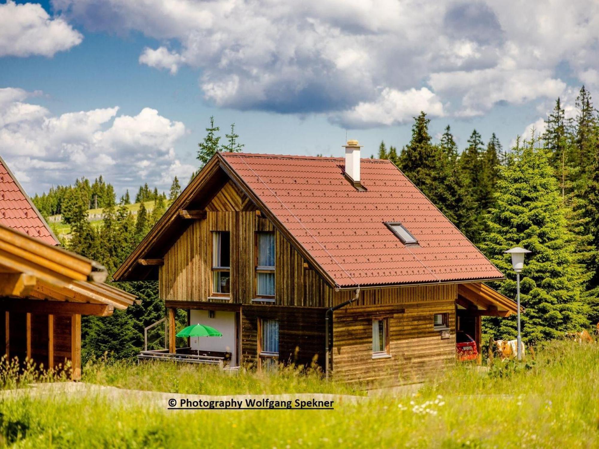 Beautiful Holiday Home in Weinebene with Sauna Posch Alpe Exterior foto