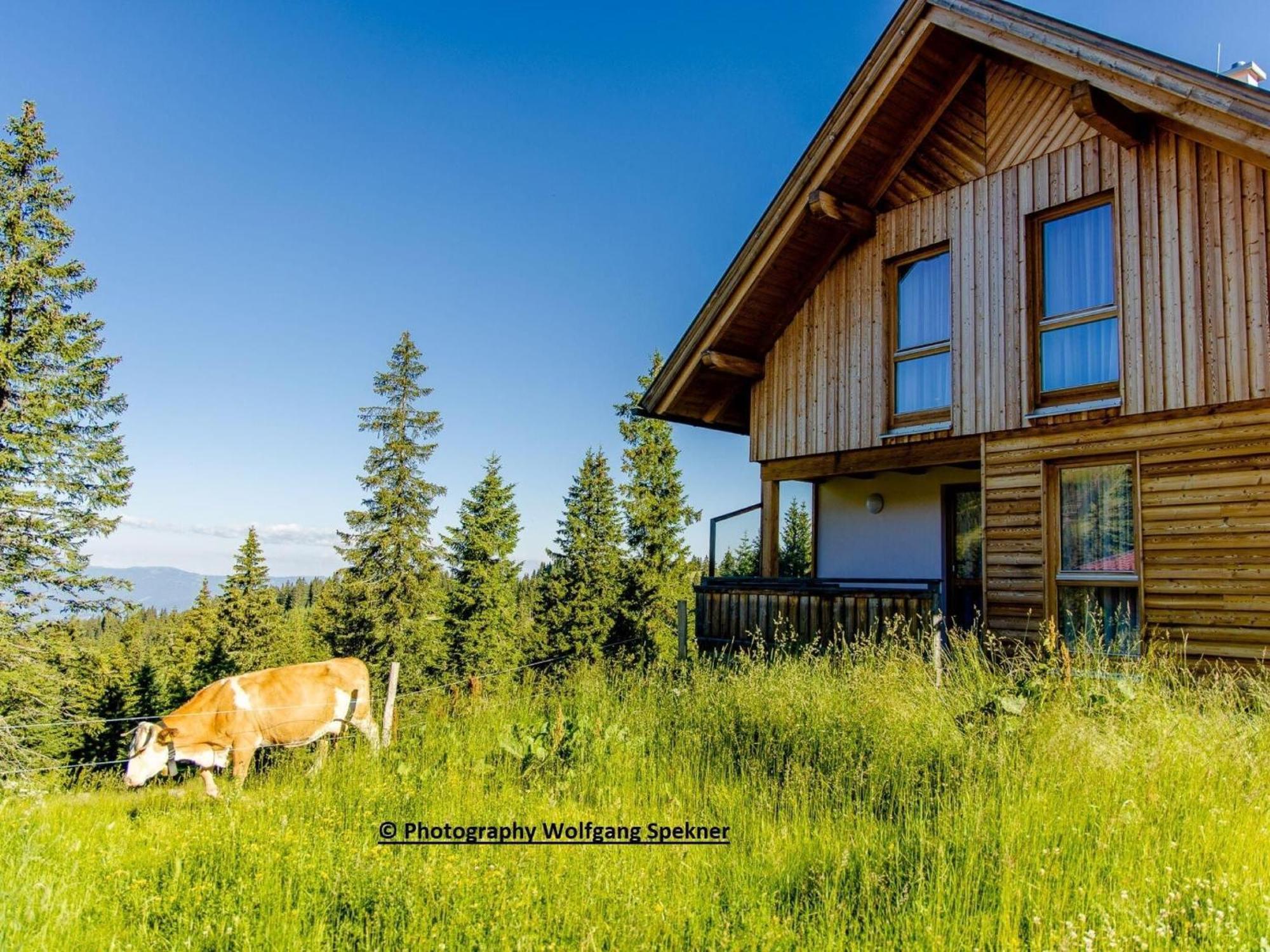 Beautiful Holiday Home in Weinebene with Sauna Posch Alpe Exterior foto