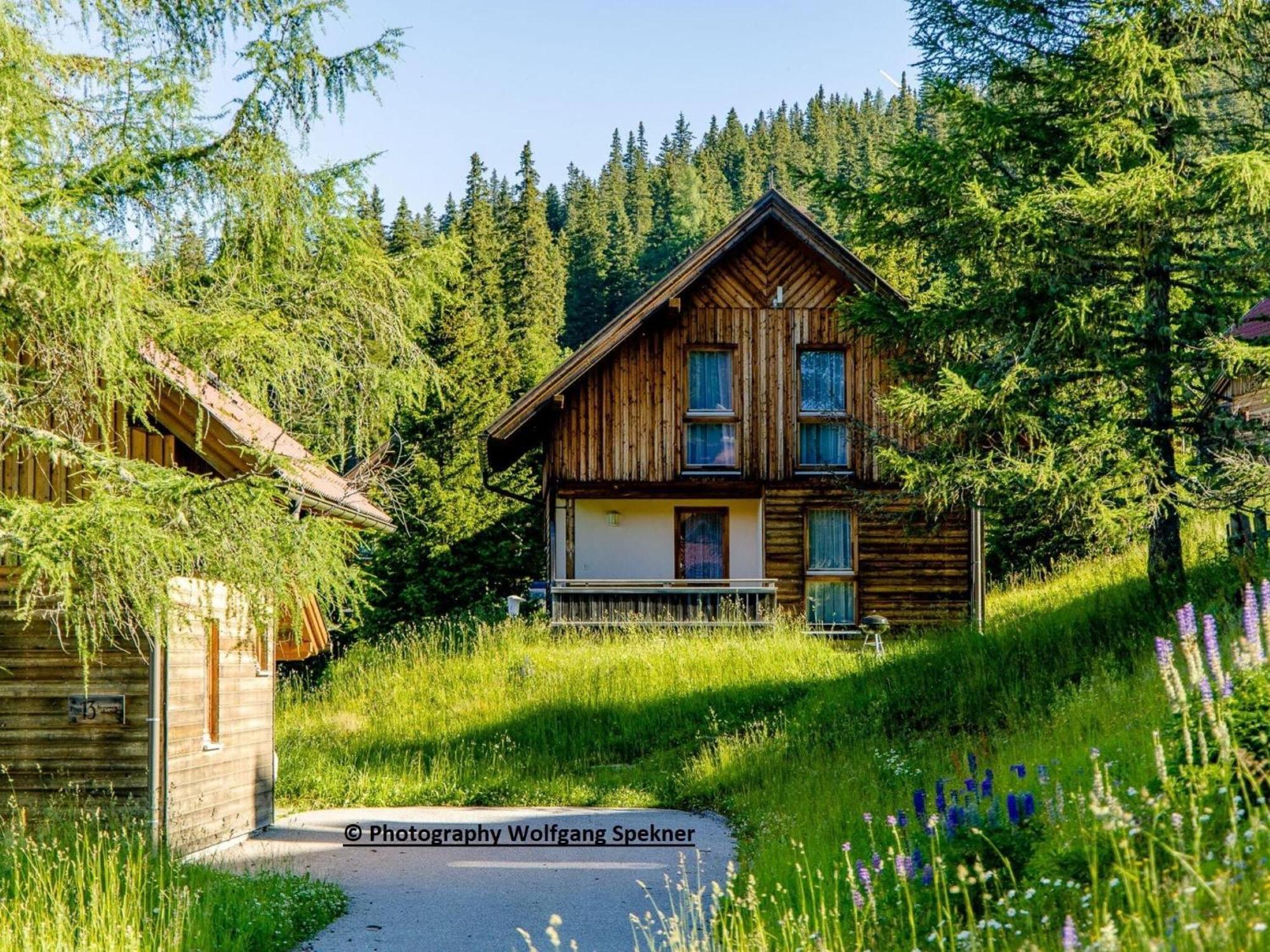 Beautiful Holiday Home in Weinebene with Sauna Posch Alpe Exterior foto